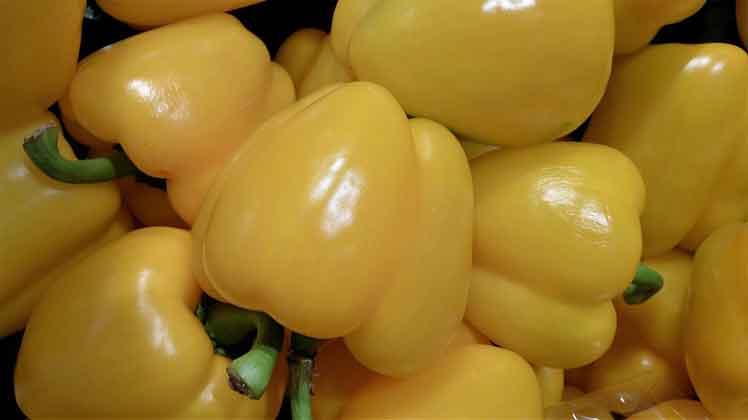 Gevulde Paprika Grieks