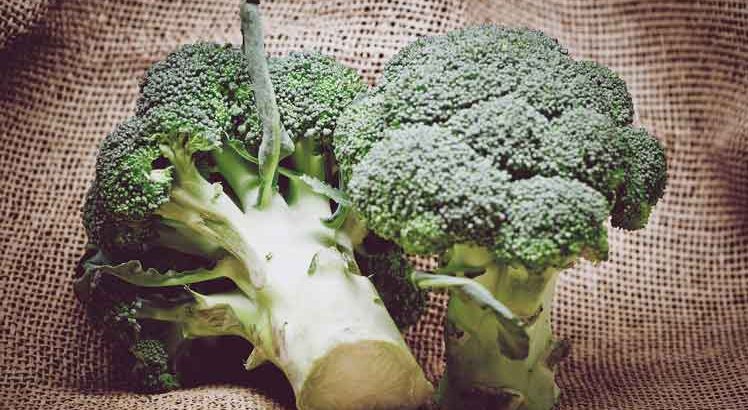 Gevulde Paprika met Broccoli en Zalm